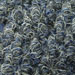 Steel Blue